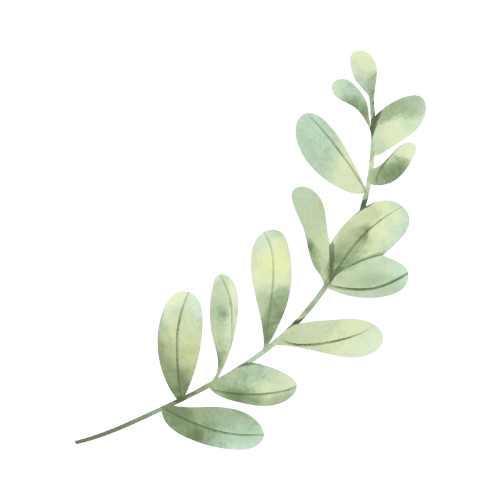 Consiliere individuală